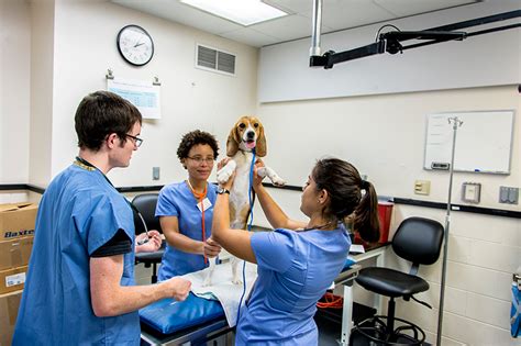 Animal Health Diagnostic Center New York State Veterinary Diagnostic Laboratory. . Cornell veterinary diagnostic lab